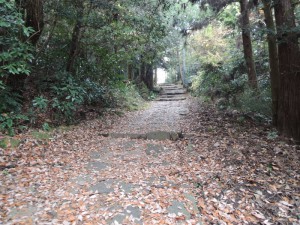 登山道