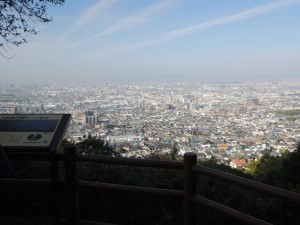 中展望