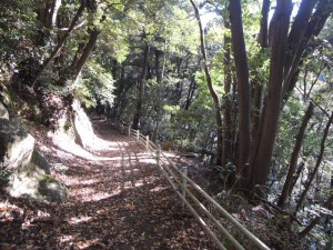 ハイキング道