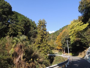 道路