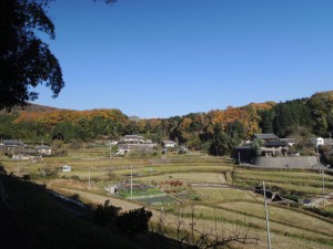風景