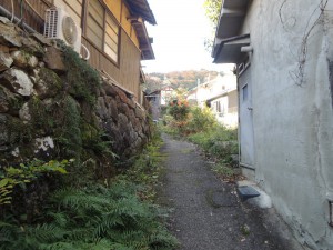 村の中の道