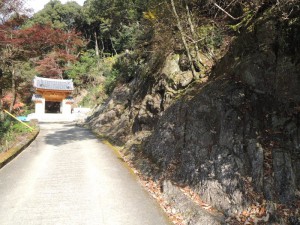 岩