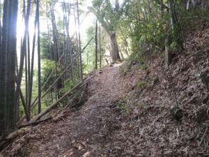 登山道
