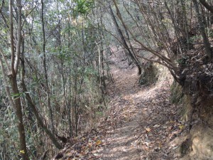 登山道（２）