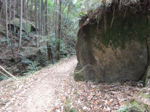 登山道（３）