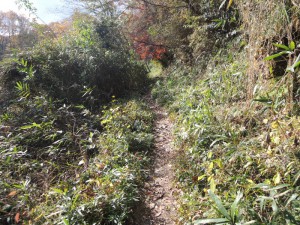 登山道（４）