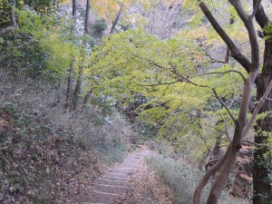 山道