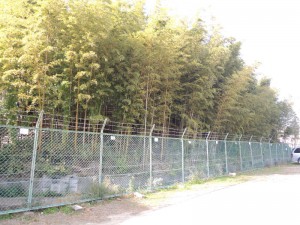 瓢箪山古墳