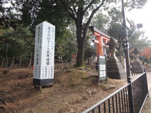 DSCN9218