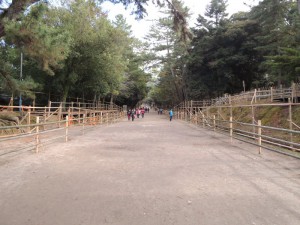 DSCN9220