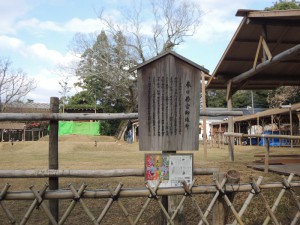 DSCN9223