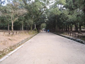 DSCN9227