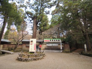 DSCN9229