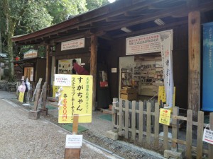 DSCN9231