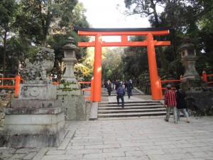 DSCN9236