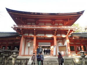 DSCN9240