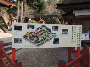 DSCN9244