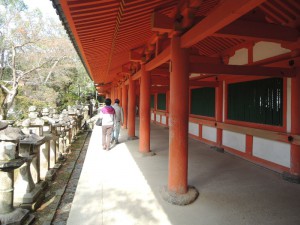 DSCN9246