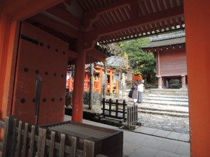 DSCN9249
