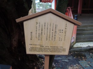 DSCN9255