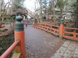 DSCN9259
