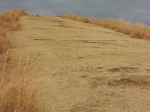 登山道