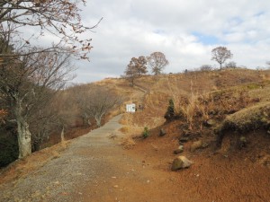 登山道