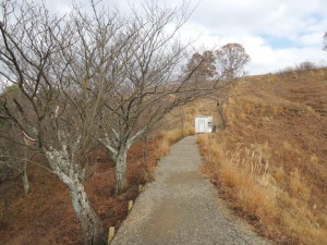 尾根道