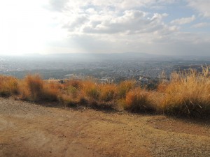 風景