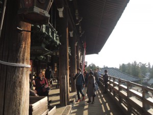 DSCN9379