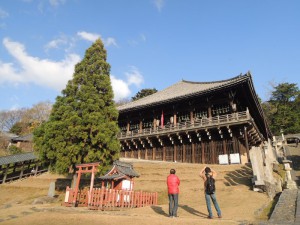 二月堂前の木