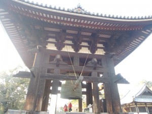 DSCN9406