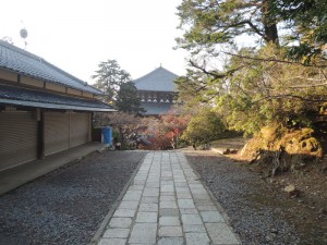 DSCN9413