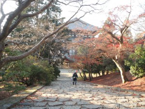 DSCN9414