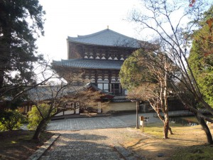 DSCN9415