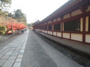 DSCN9416