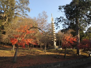 DSCN9417