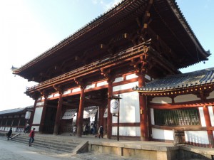 DSCN9419