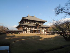 DSCN9424