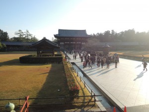 DSCN9449