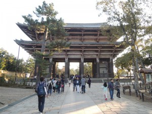 DSCN9454
