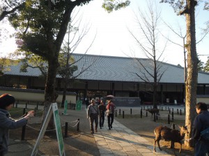 DSCN9455