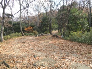 山道