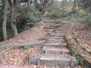 木の階段