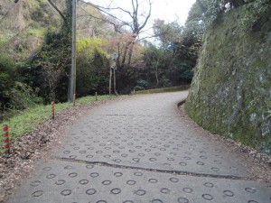 国道308号