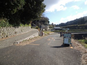 分岐