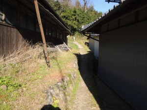 脇道