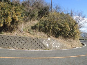 横断