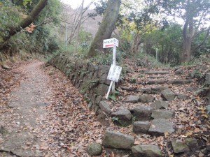 山道